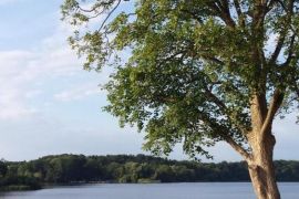 20160629_194110.jpg